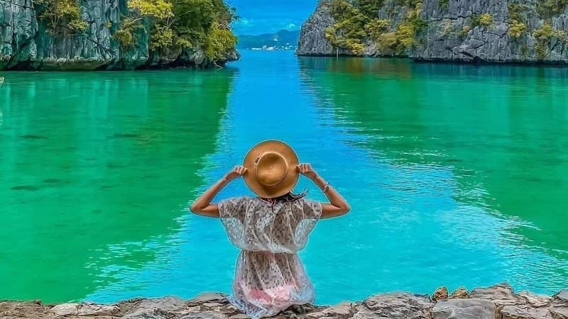 Aloe Vera Kosmetik und Wellnessbehandlungen München photo