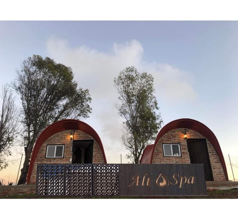 Alt Spa Alternative Playas de Rosarito photo