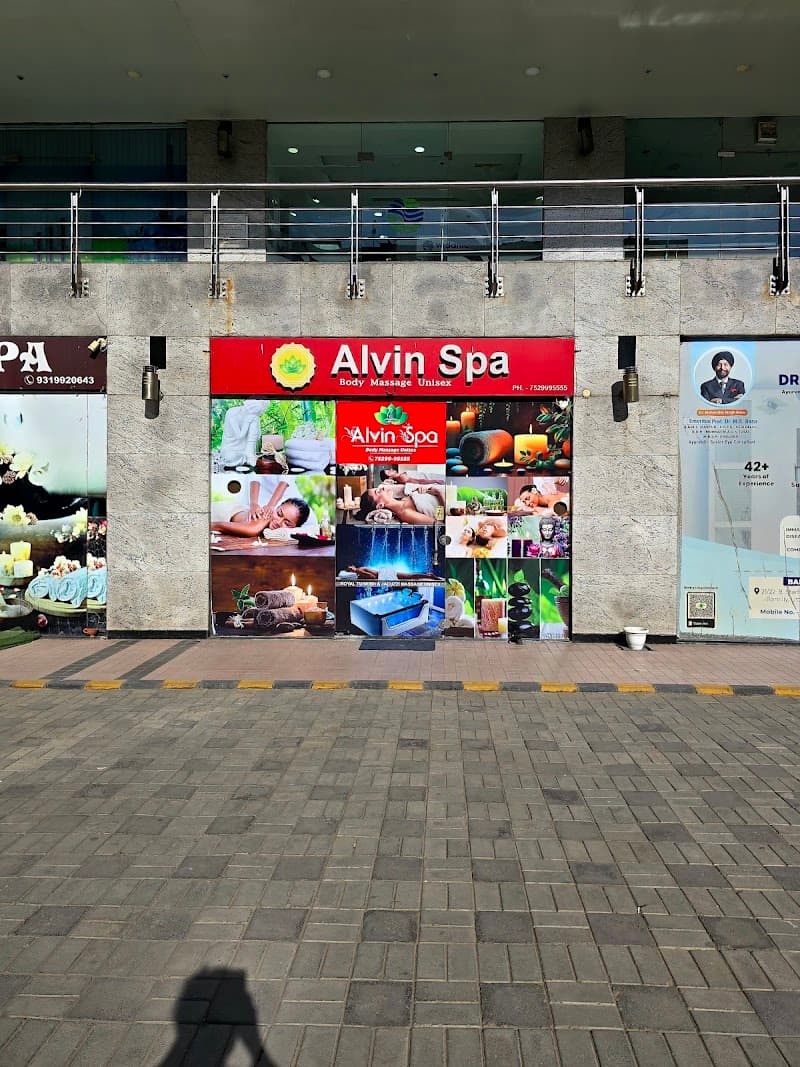 Alvin Spa Delhi photo