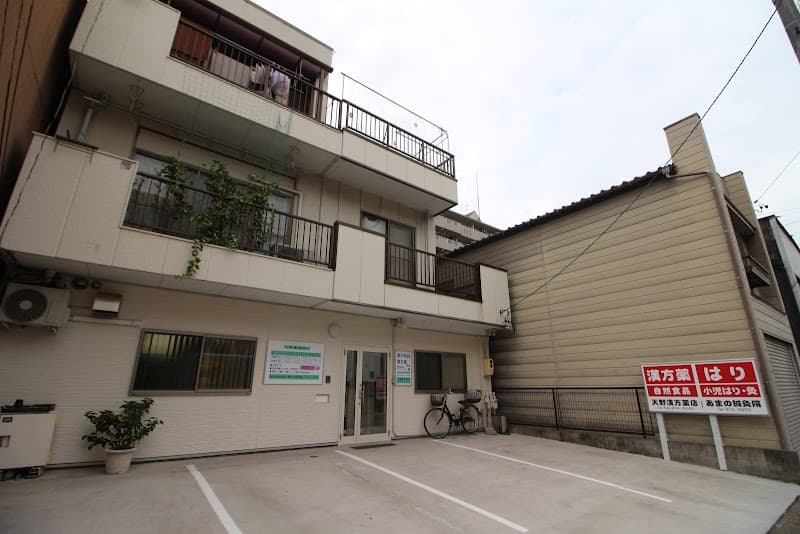 Amano Acupuncture Clinic Kita Ward, Nagoya photo