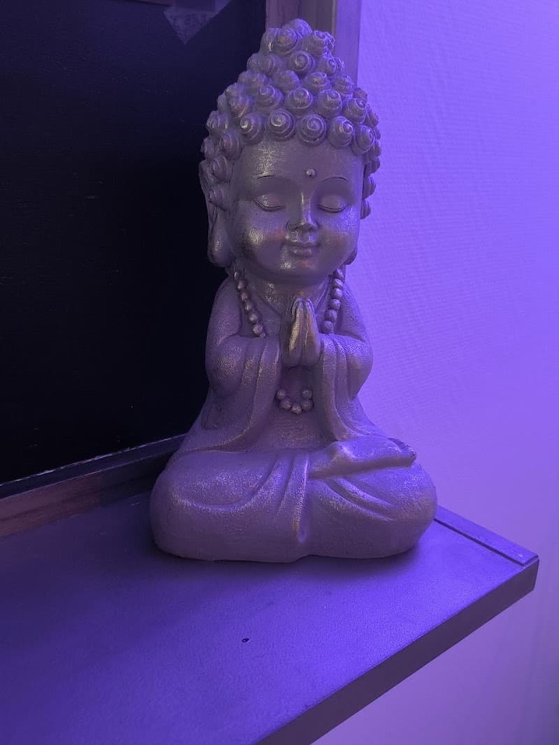 Amazing Zen Namur photo