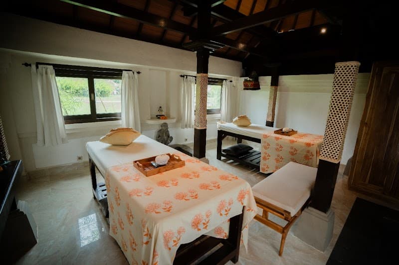 Ambara Spa Zamora photo