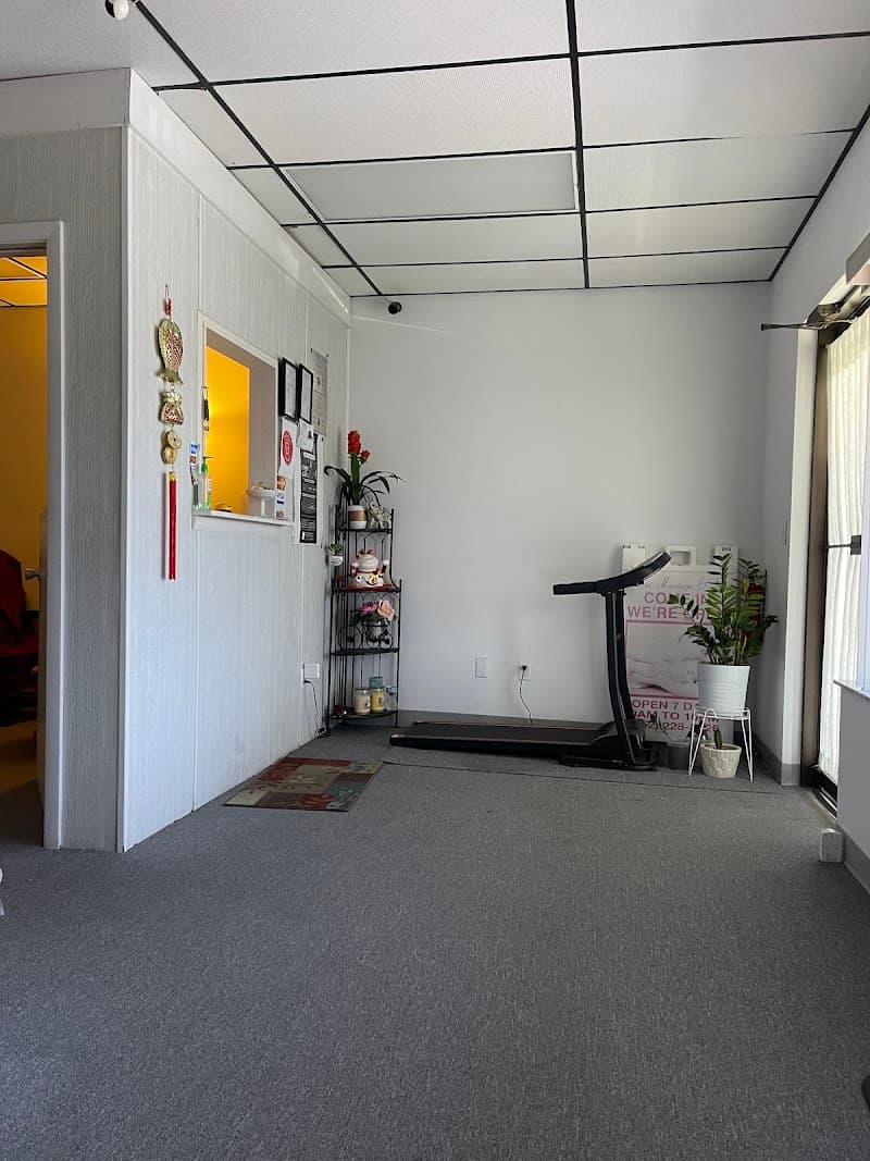 Amber DePoo, LMT - Massage Therapy Crystal River photo