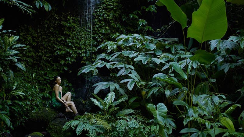 Amenities Day Spa and Salon Fresno photo