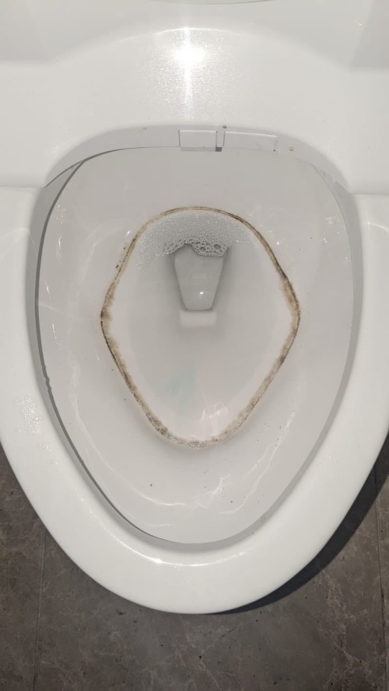 Americanlibertymaids.Com Irvine photo