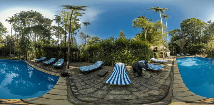 Amritara Shalimar Spice Garden Resort & Spa, Thekkady Kerala photo