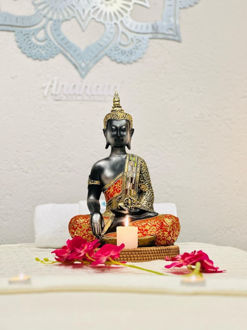Anahata Day SPA Oaxaca photo