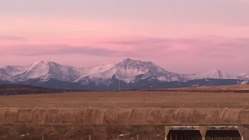 Anam Cara - Soul Friend Cranbrook photo