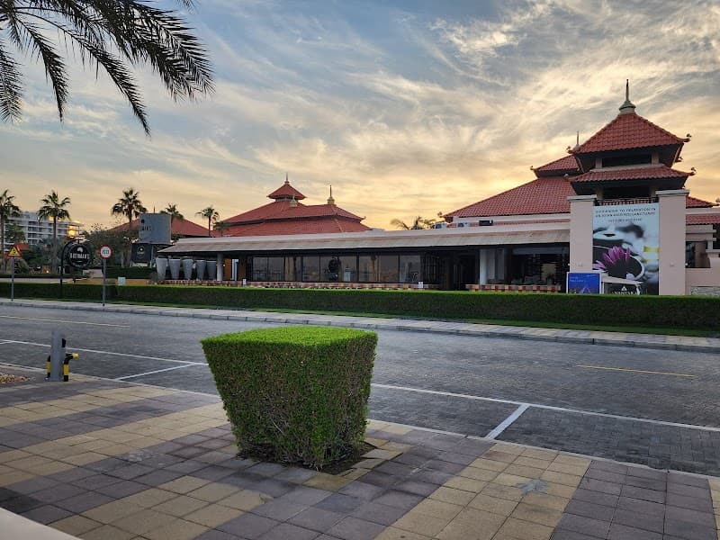 Anantara Spa Dubai photo
