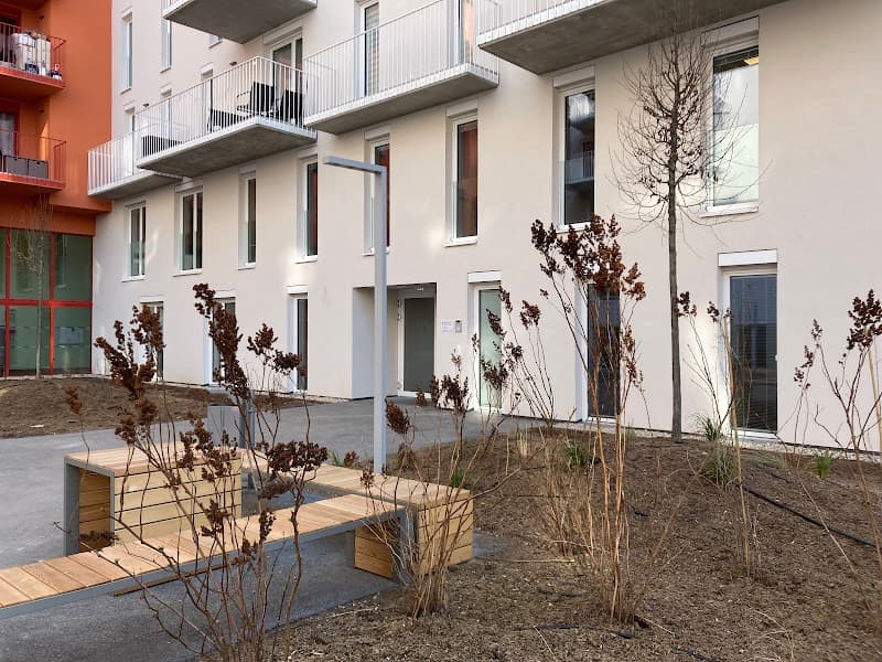 Andrea Salcher In Balance gesund Wien photo