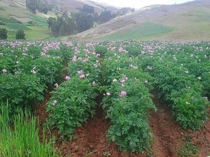 Angela Siado Spa Bogotá Bogotá, D.C. photo