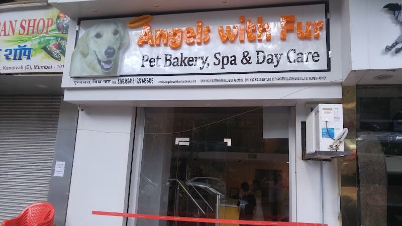 Angels With Fur Mumbai photo