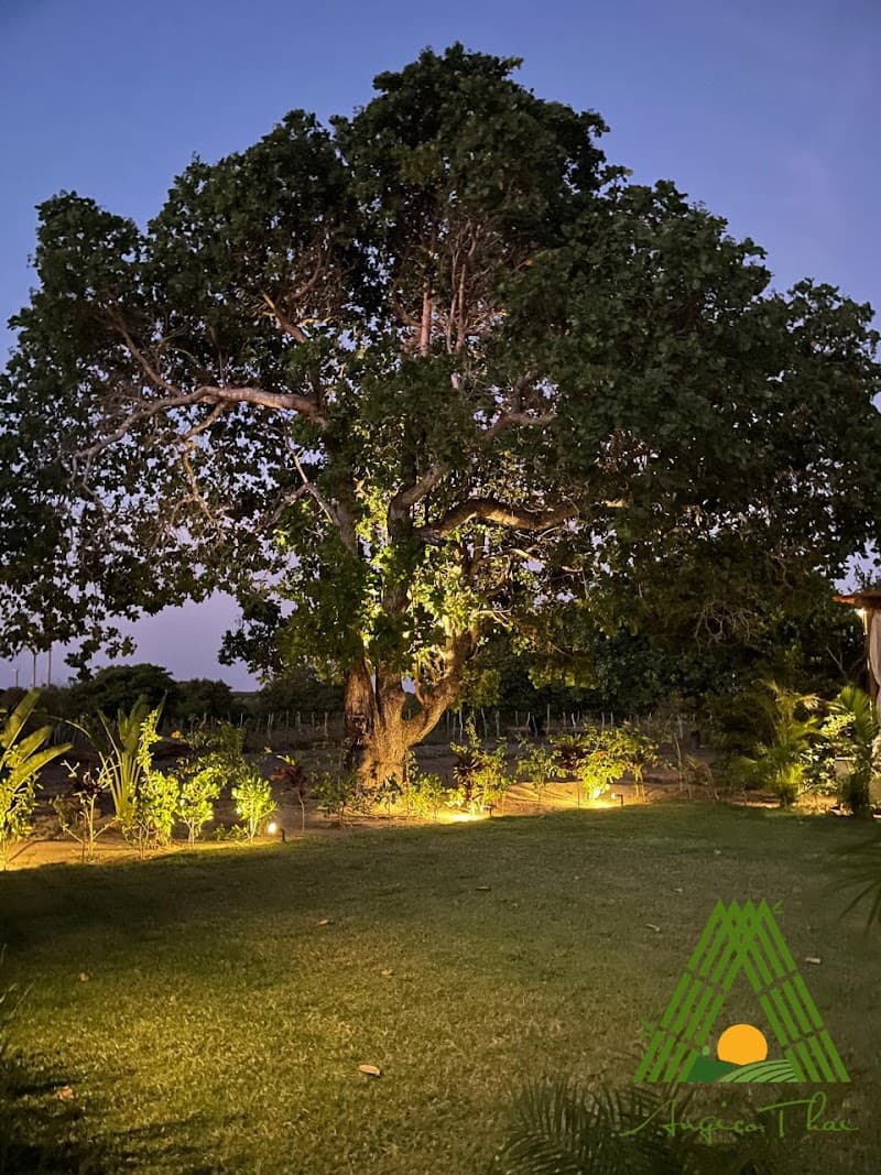 Angico Thai Spa São Miguel do Gostoso photo