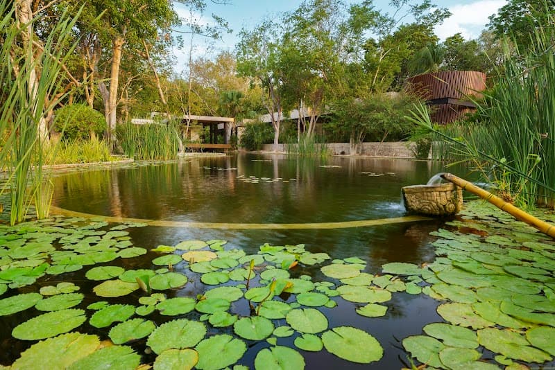 Angsana Spa & Resort Las Maldivas Villahermosa photo