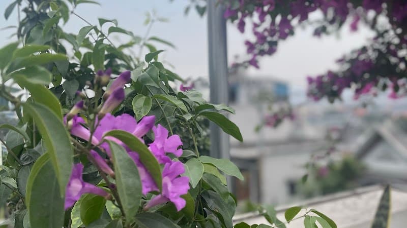 Cẩm Phả Ánh Nguyệt spa Mụn Nám photo