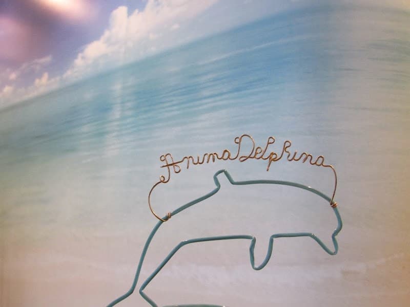 Anima Delphina Bisceglie photo