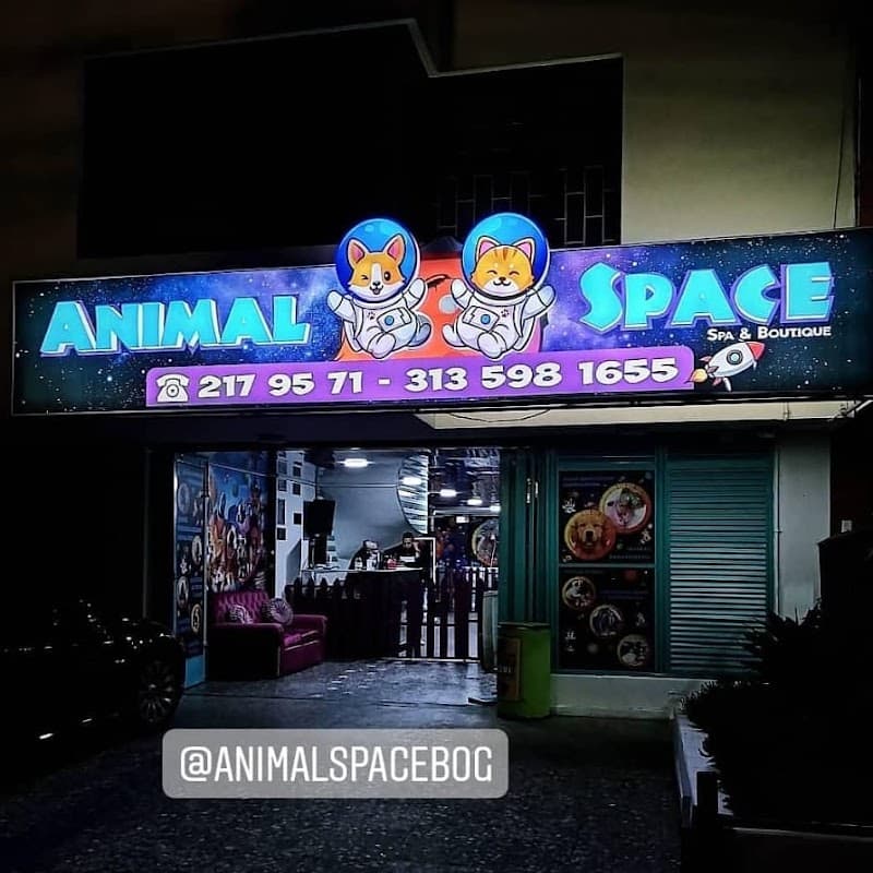 Animal Space Bogotá, D.C. photo