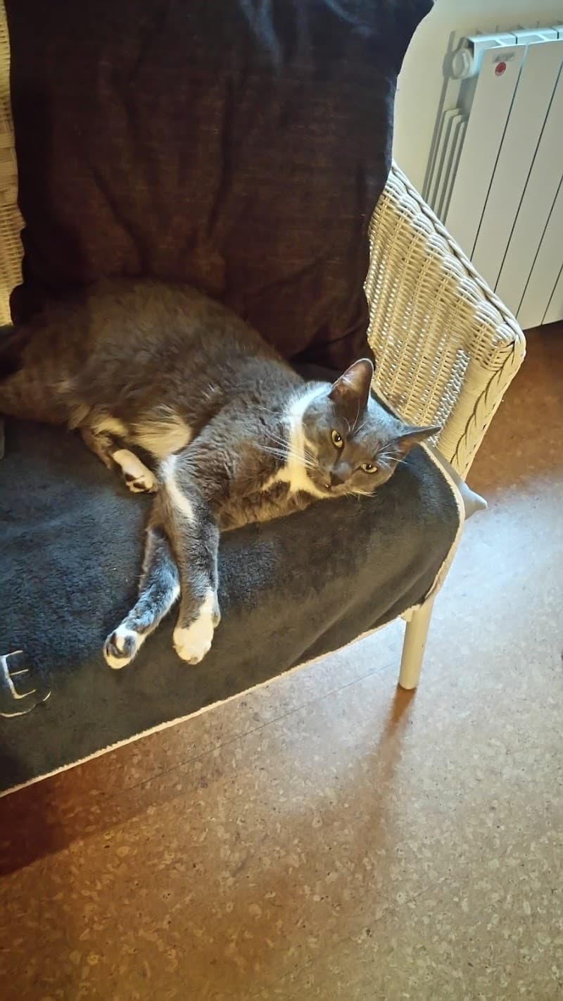 Anne et Frimouss Wissembourg photo