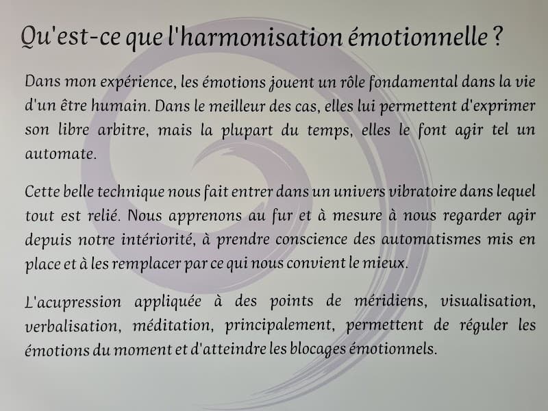 Anne-Laure Lambert Réflexologie Dien Chan, Harmonisation Emotionnelle Les Lilas photo