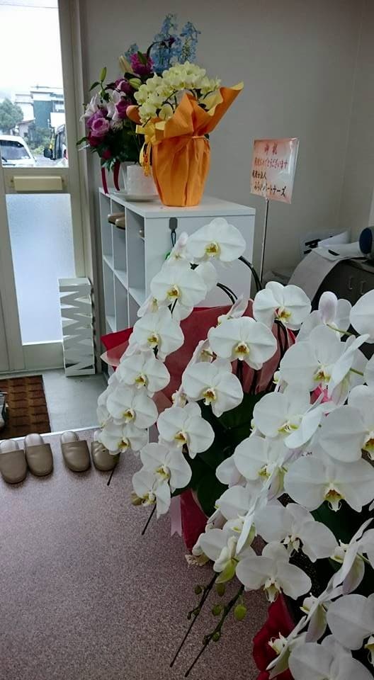 Anzu Acupuncture and Massage Clinic Izu photo