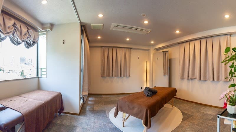 Aoyama 3-chome Hari Kyuu Seikotsuin Dainindo (Traffic Accident & Whiplash Treatment) Minato Ward photo