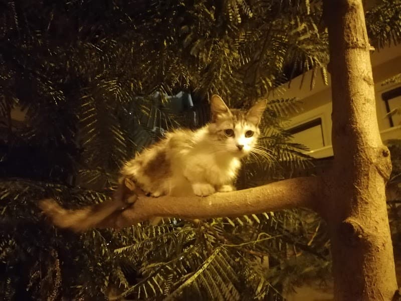 Aphrodiet Wellness Center Al Hadrah Qebli photo