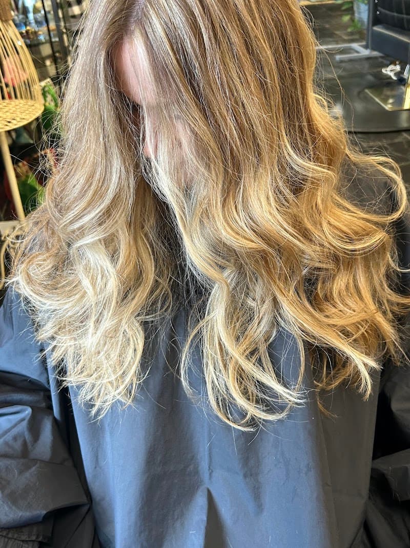 Aqua Aveda Concept Salon Decatur photo