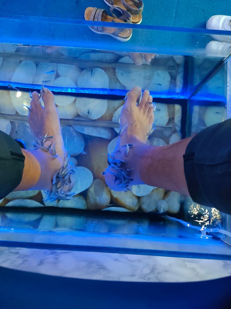 Aqua Fish Spa Kos photo