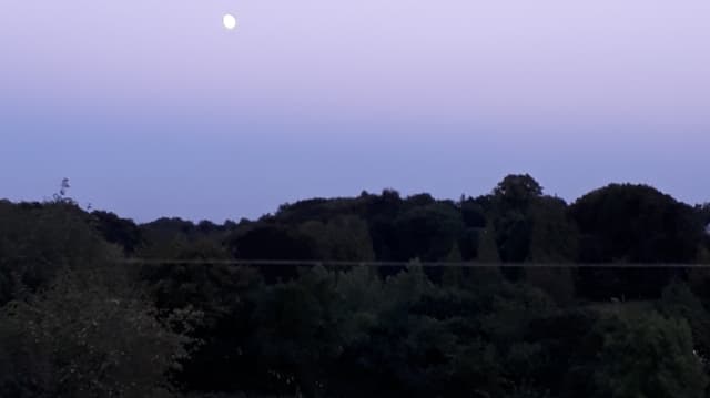 Aqua View Alternative Therapies Dungannon photo