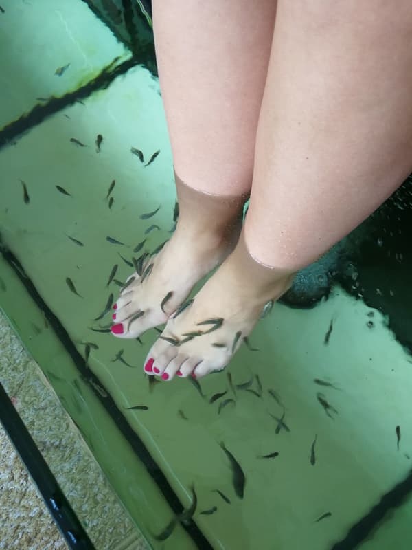 Aquarius Dr.Fish - Spa Baesweiler photo