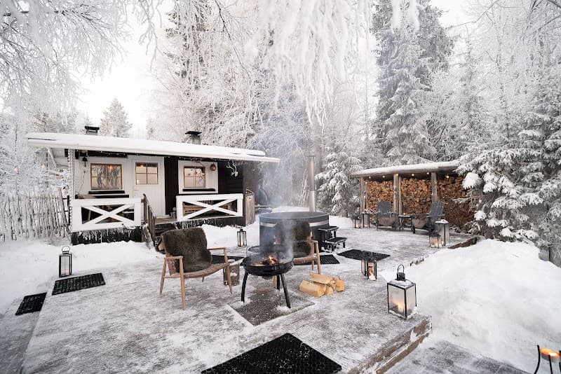 Arctos Lapland photo