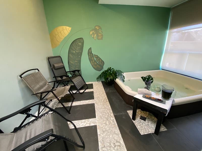 Toluca aria SPA photo