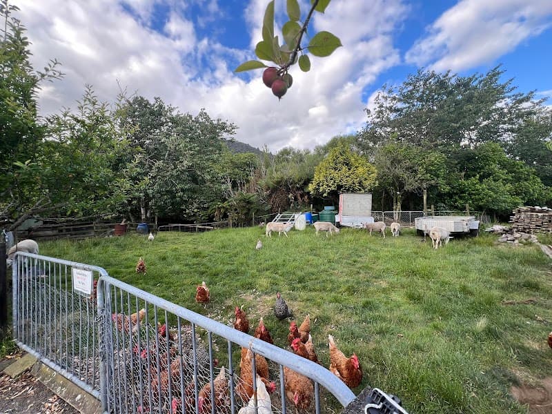 Arias Farm Rotorua photo