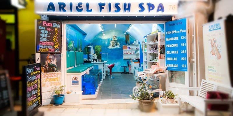Ariel Fish Spa Pl. El. Venizelou 14 photo