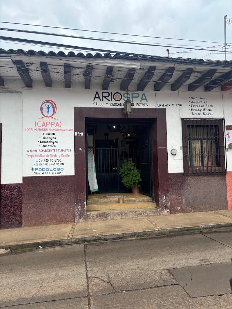 Ario Spa Arío de Rosales photo