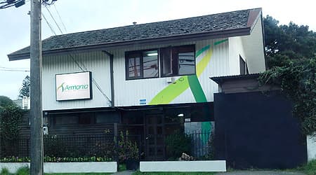 Armoniosos Puerto Montt photo