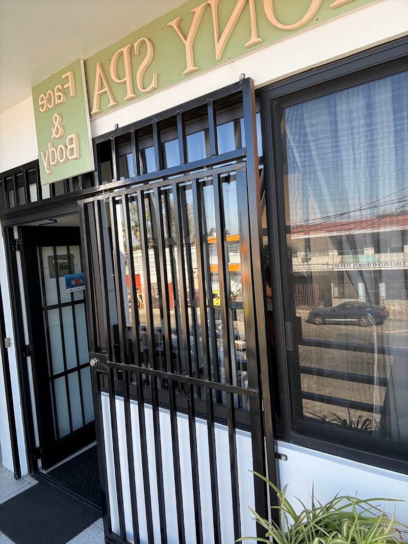 Armony Spa: face&body Tijuana photo