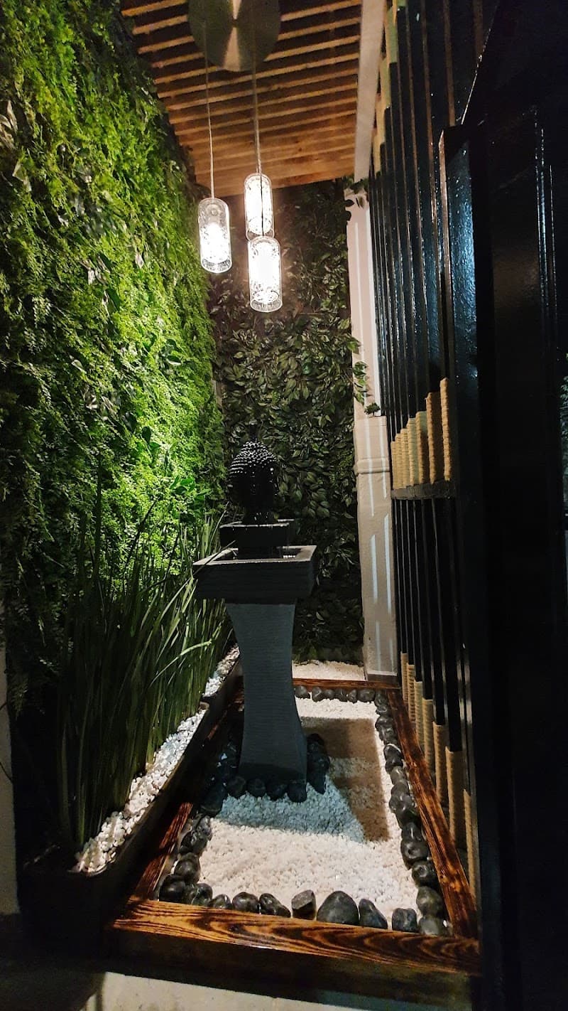 Arogya Spa Álvaro Obregón photo