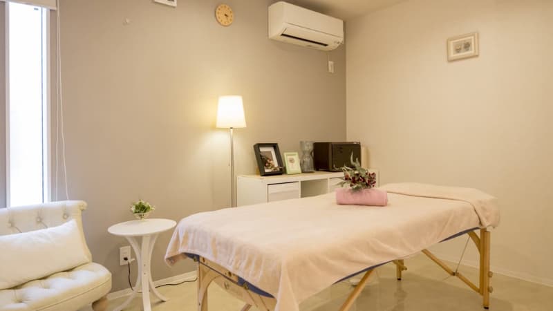 Aroma Clay Herb Salon & School Chikusa Ward, Nagoya photo