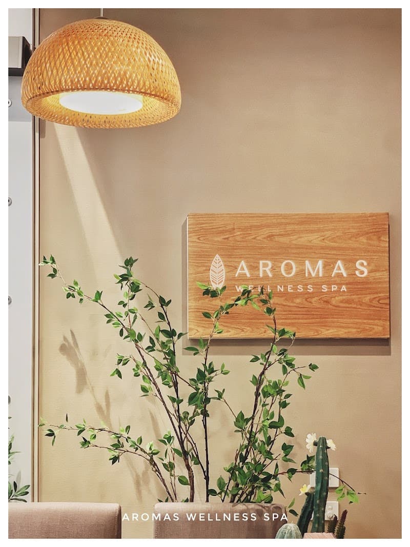 Aromas Wellness Spa Gold Coast photo