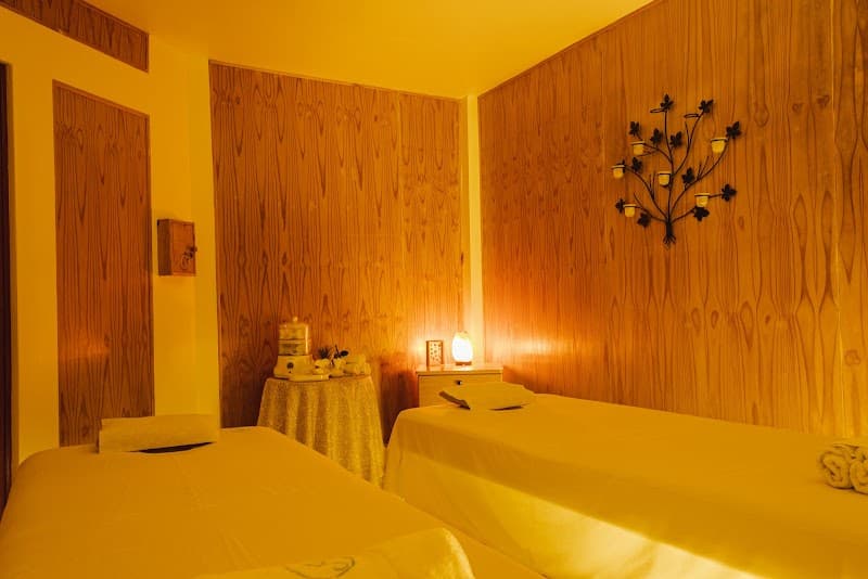 Aromas y Salud Spa Castilla photo