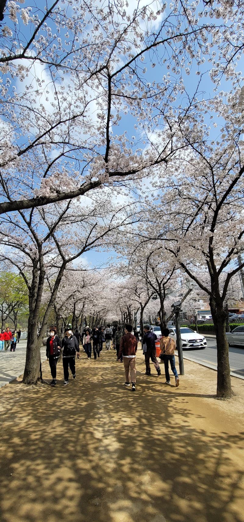 Arte Suseong Land Daegu photo