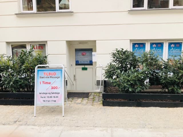 Artemis Massage Frederiksberg photo