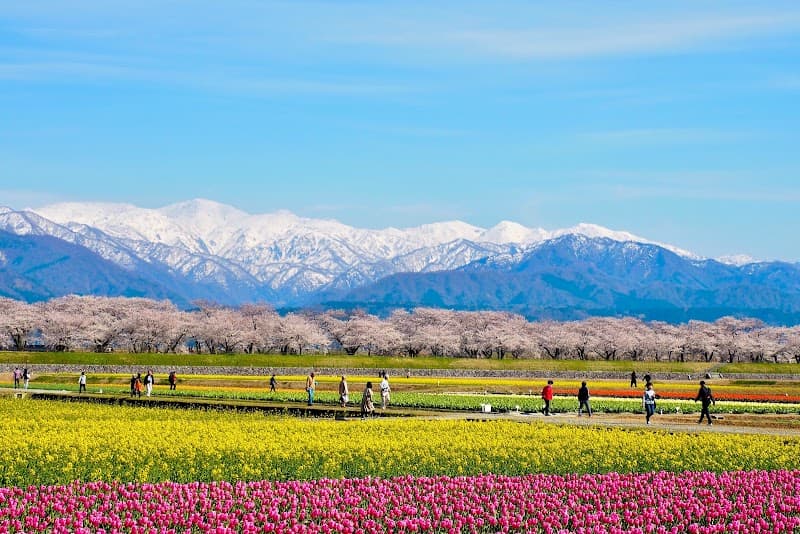 Asahi Town Environmental Interaction Facility Rakuchino Asahi Town, Shimoniikawa District photo