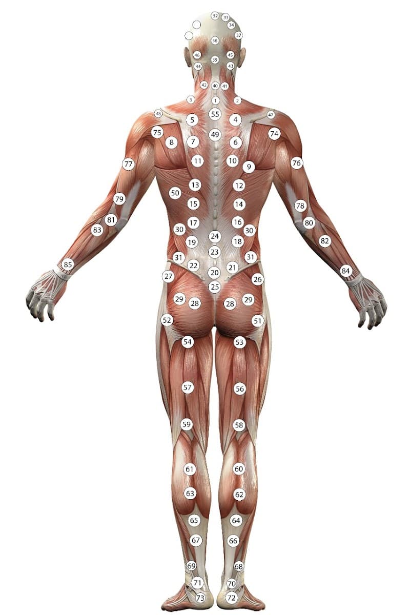 Ashshifa hijama cupping therapy bd Black C photo
