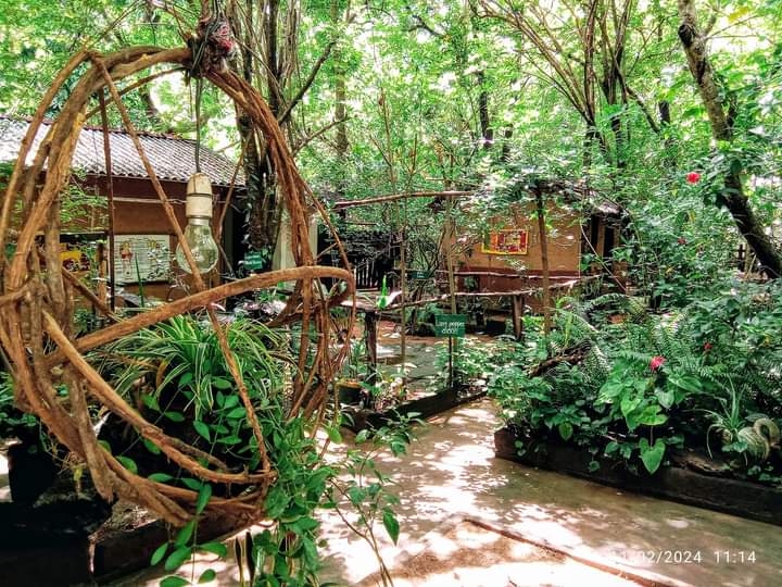 Ashwinee Ayurvedic Treatment Center Moragaswewa photo