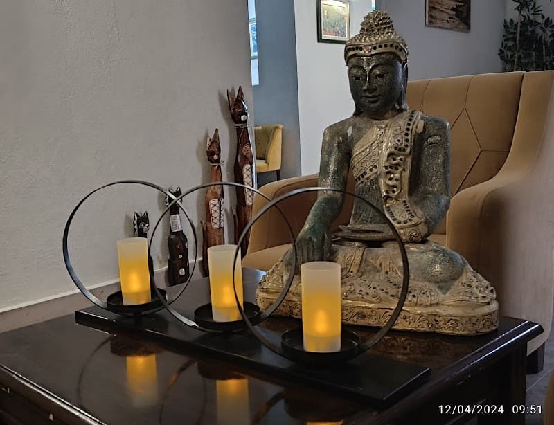 Aslan Spa Culiacán photo