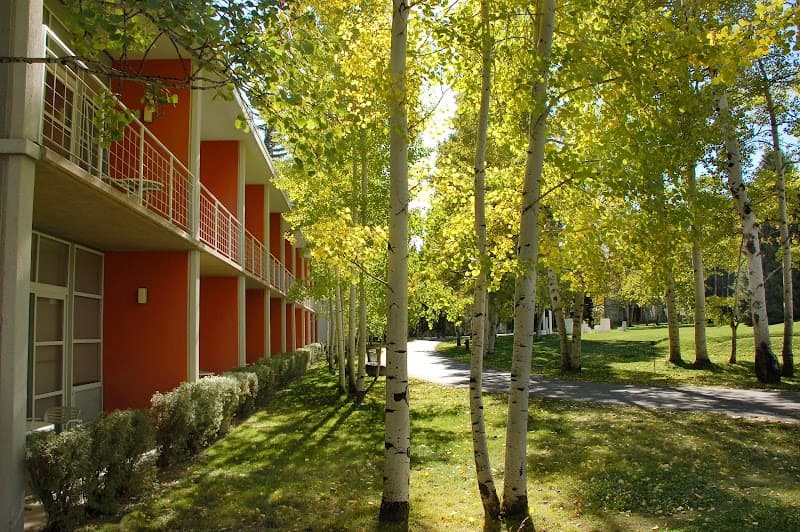 Aspen Meadows Resort photo