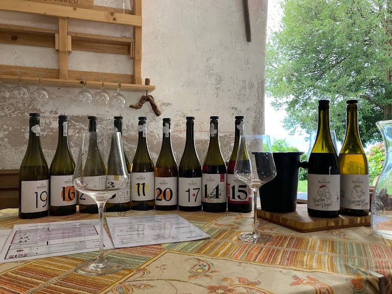 Salorno sulla Strada del Vino Ästhetik nuovo destino photo