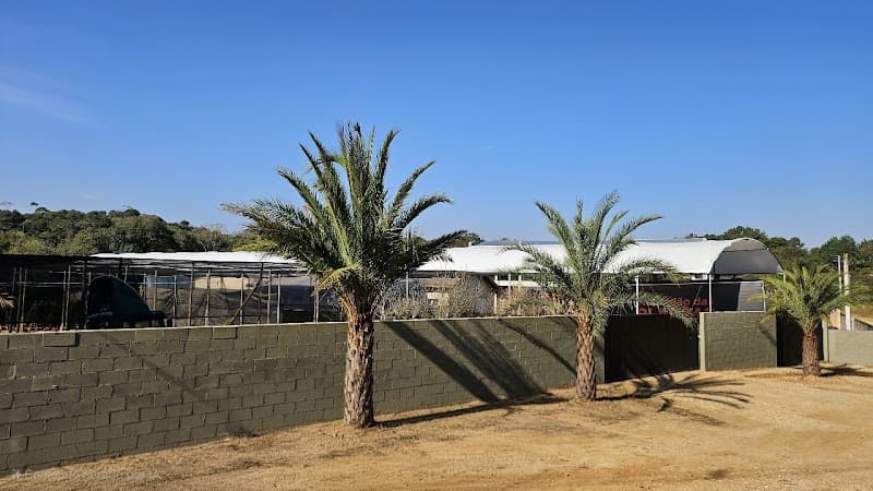 Atacadão das Plantas Curitiba Almirante Tamandaré photo